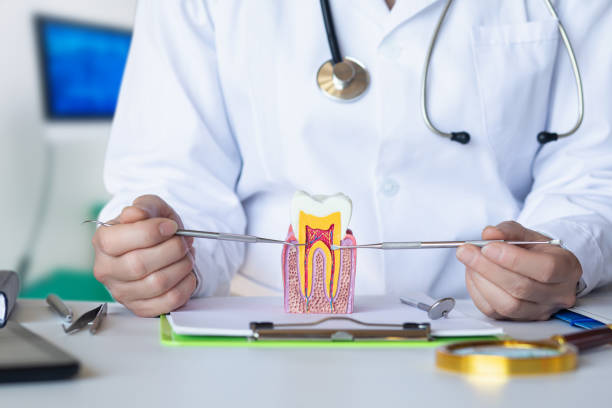 Best Emergency Dental Care for Trauma or Injury in Ovilla, TX